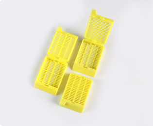 Rectangle 229(3)