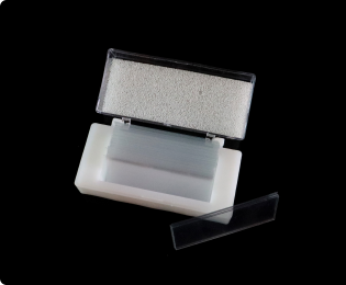 Rectangle 229(1)
