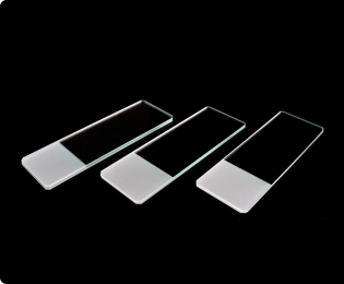 Rectangle 229