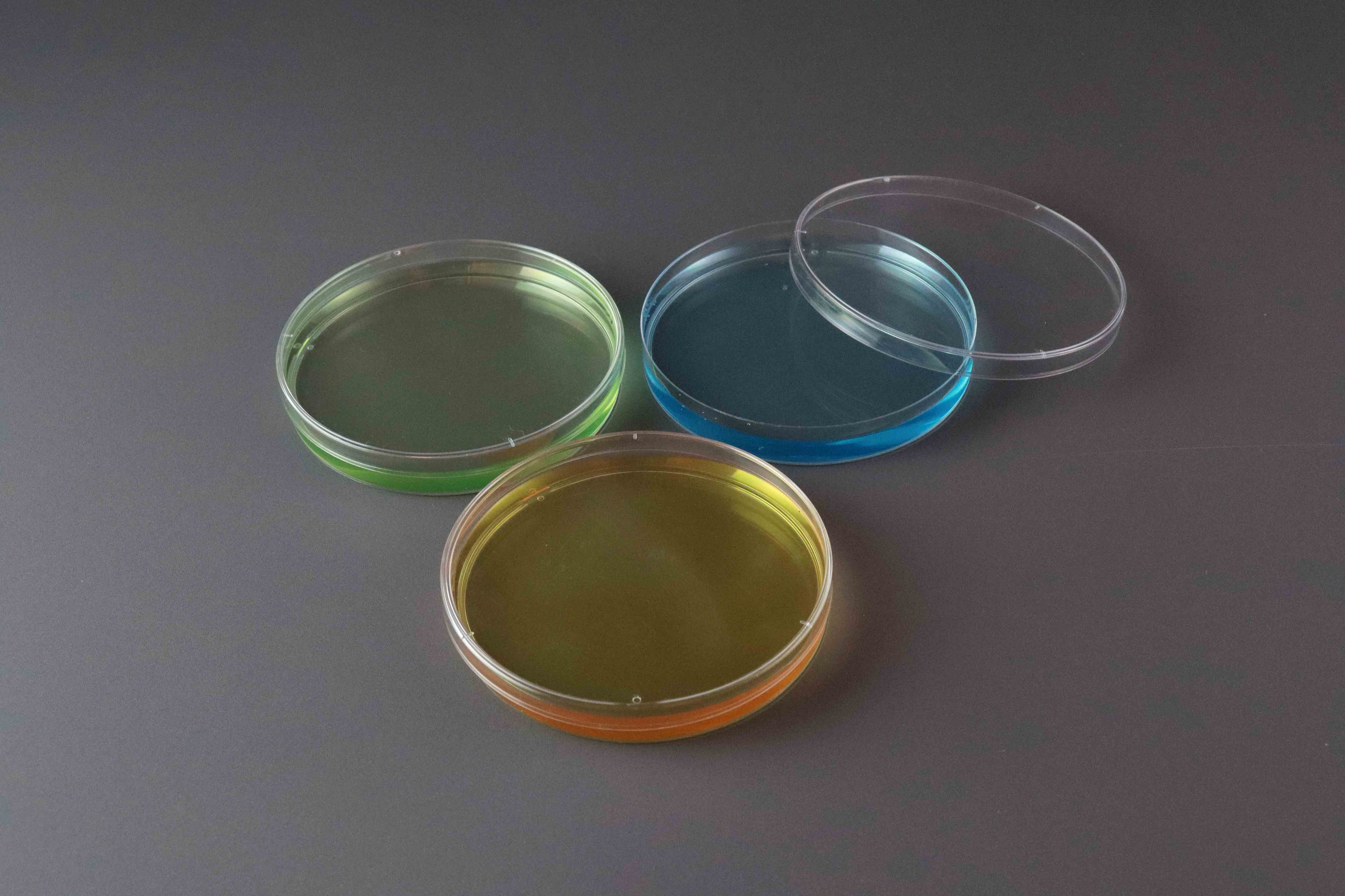 Plastic Petri Dish