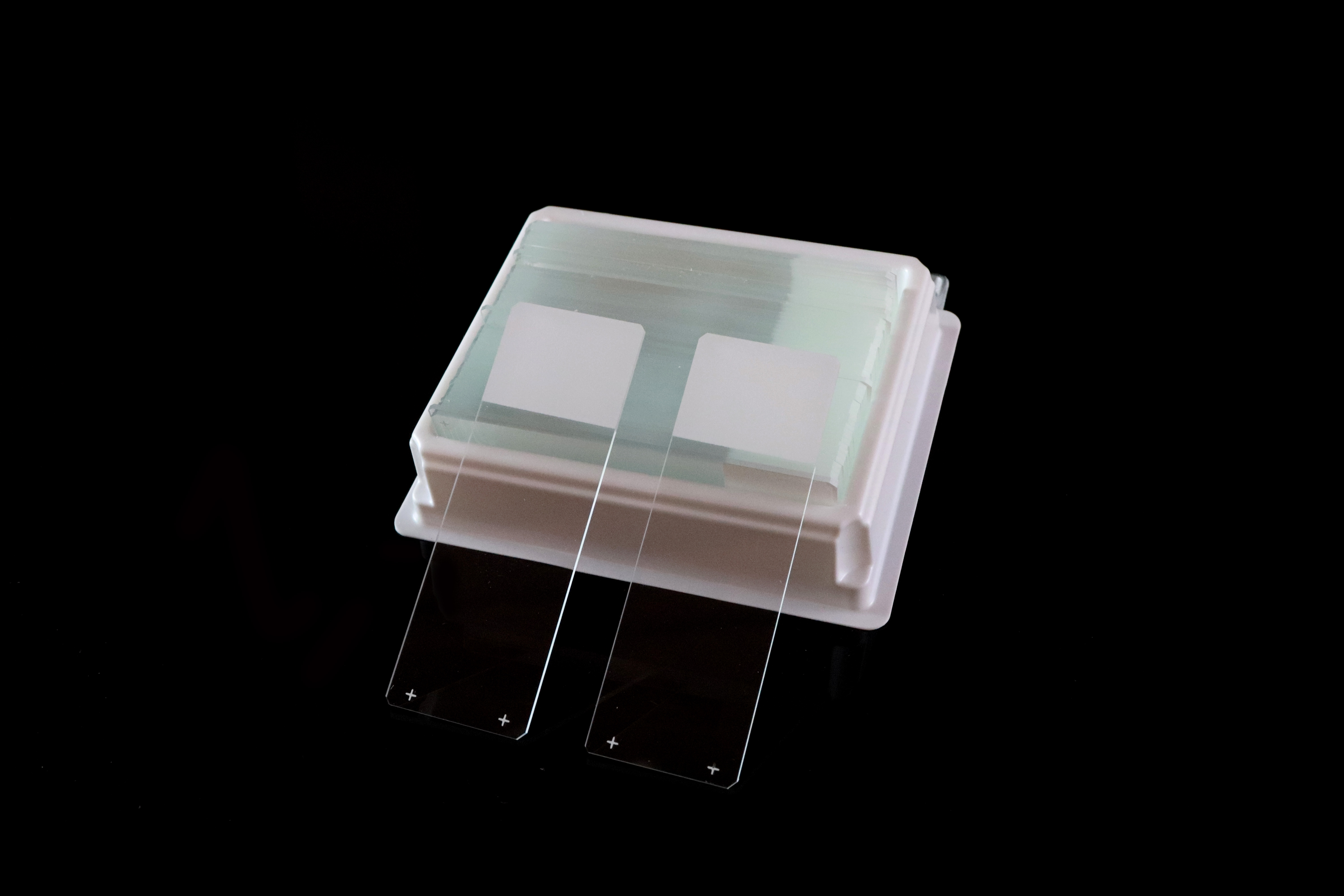 Positive Charged Microscope Slides
