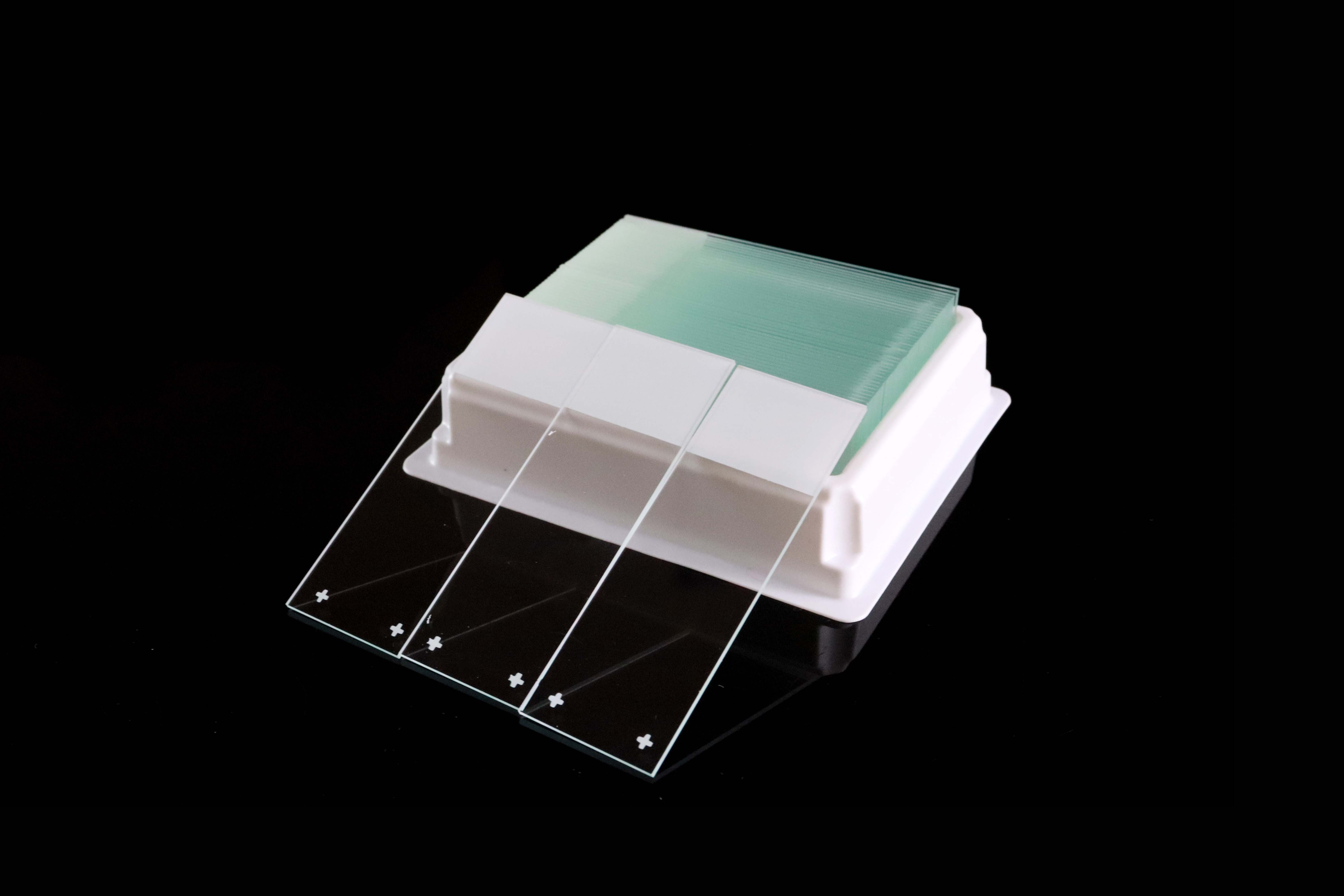 Positive Charged Microscope Slides
