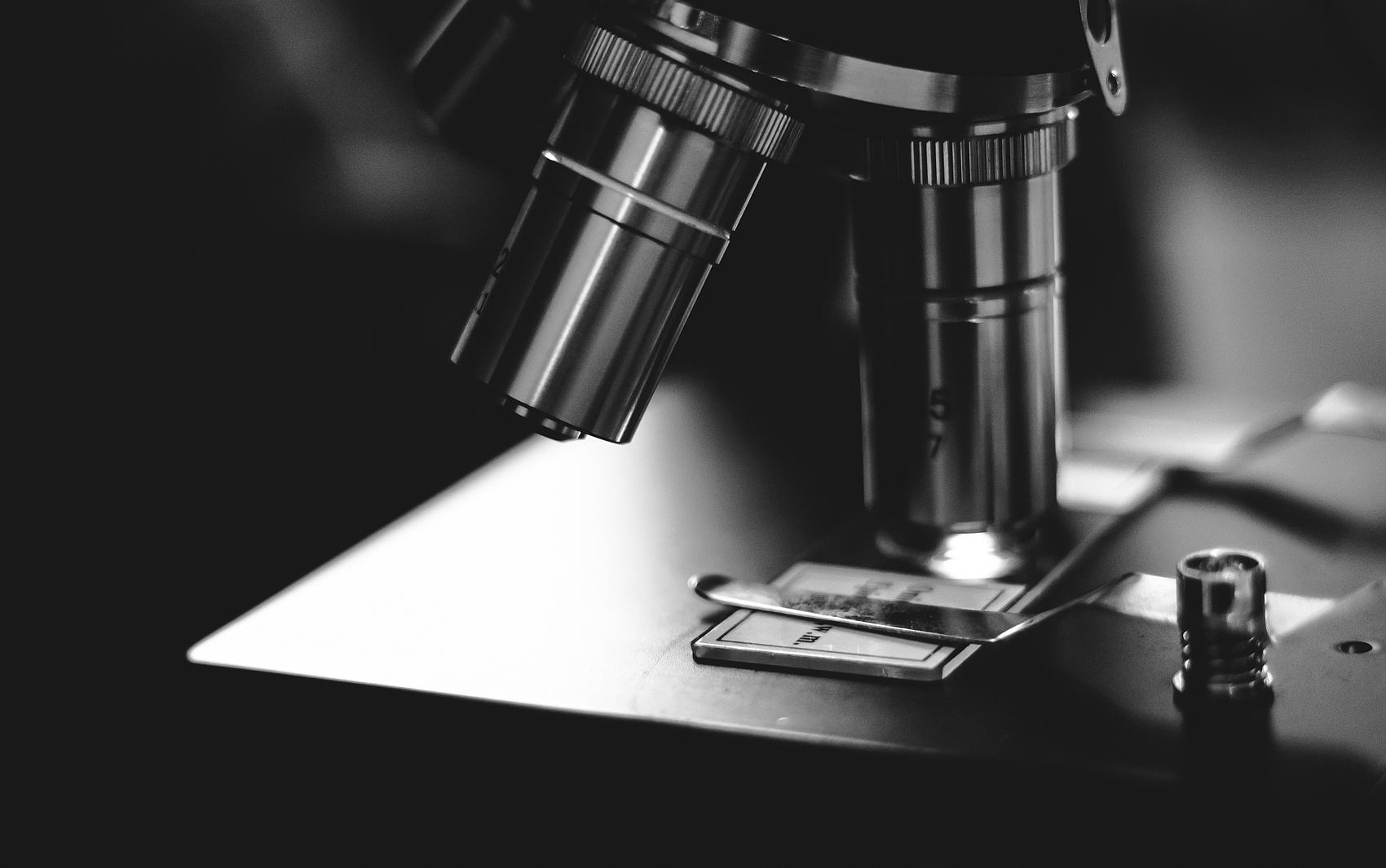 Top 6 Microscope Slide Manufacturers & Suppliers in South Korea (2026)