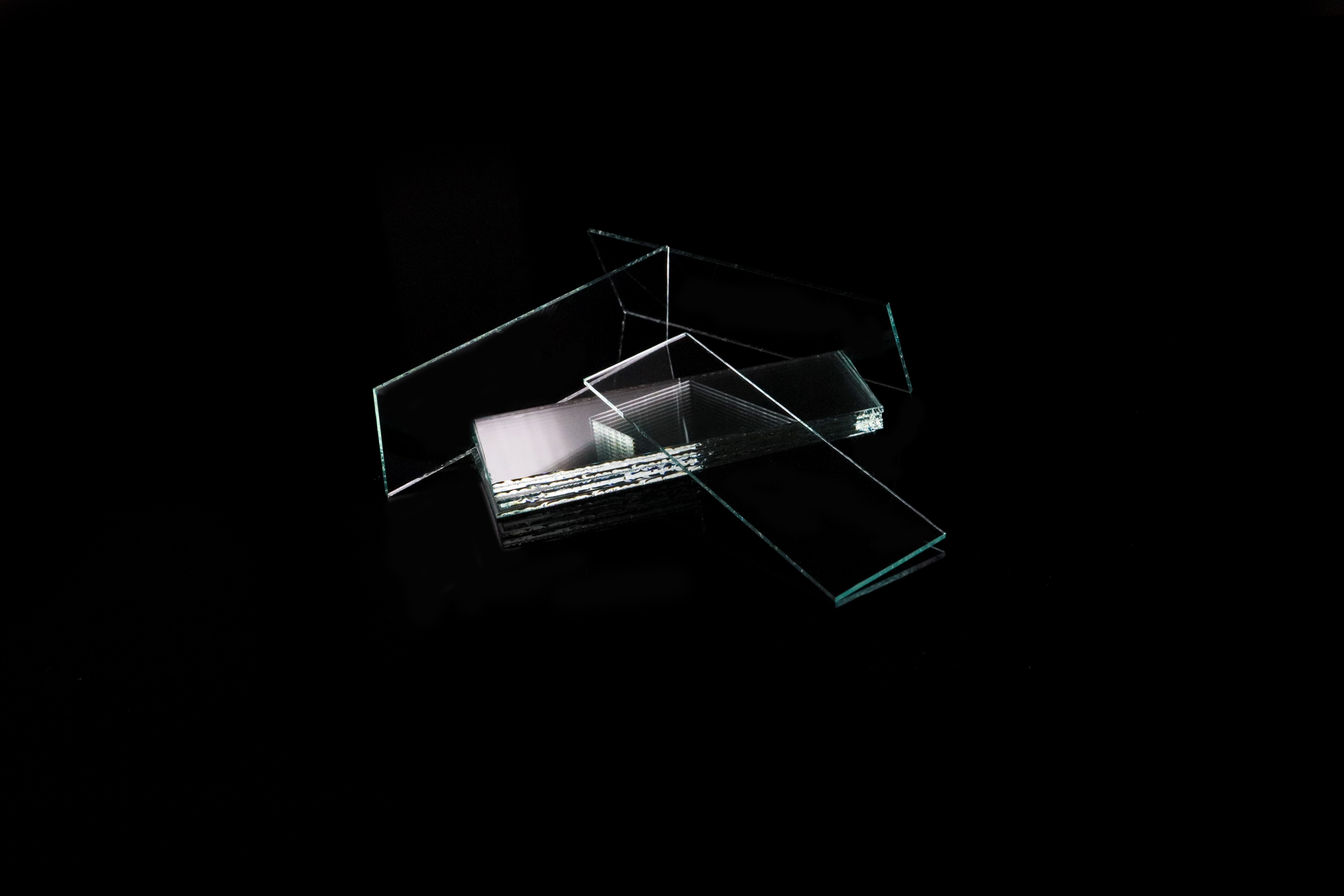7102 Microscope Slides
