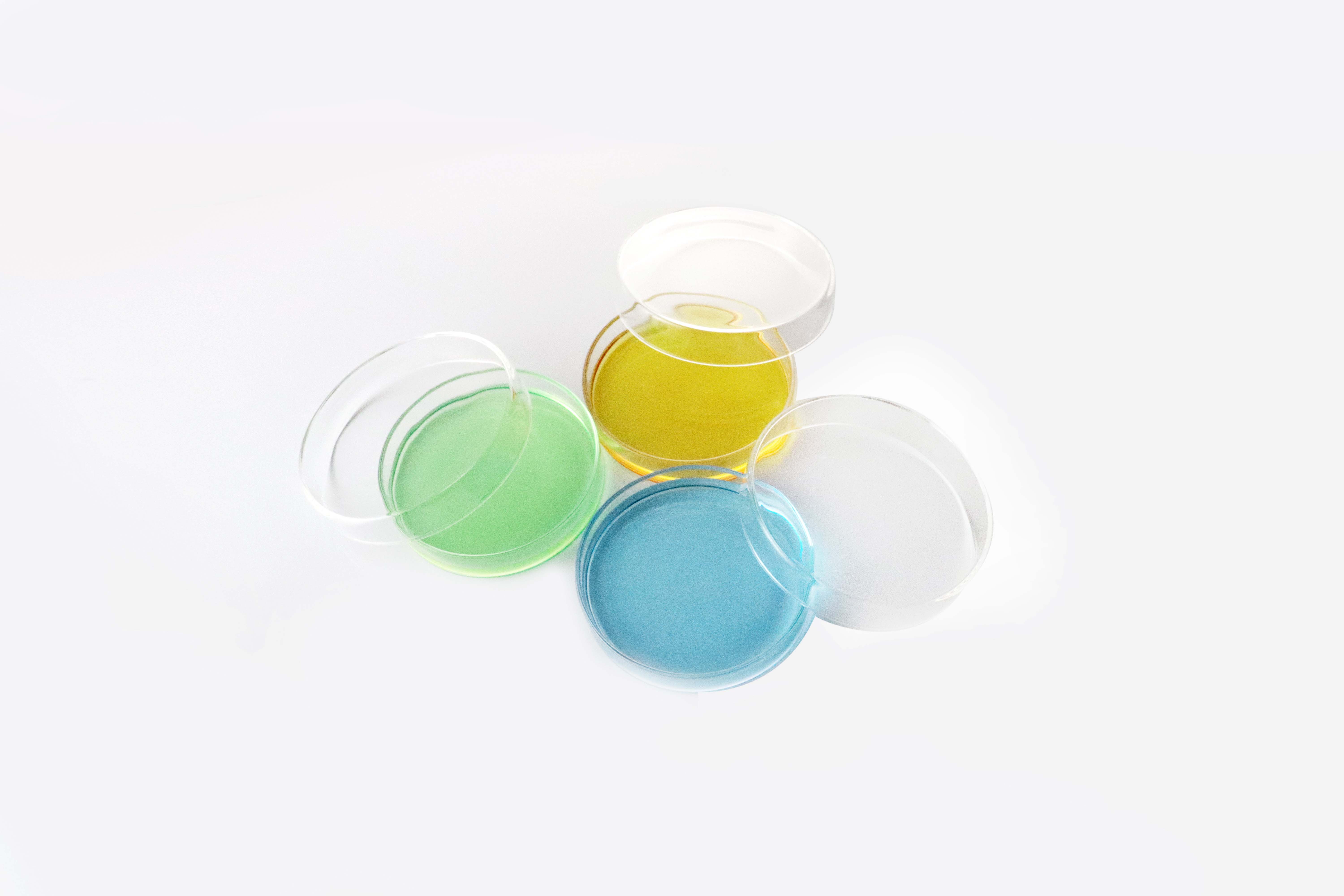 Glass Petri Dish