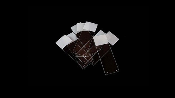 Positive Charged Microscope Slides