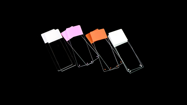 Color Frosted Microscope Slides