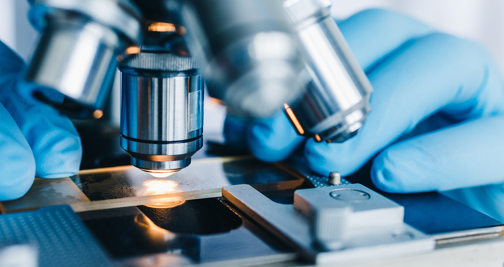 How to Buy Microscope Slides in Bulk