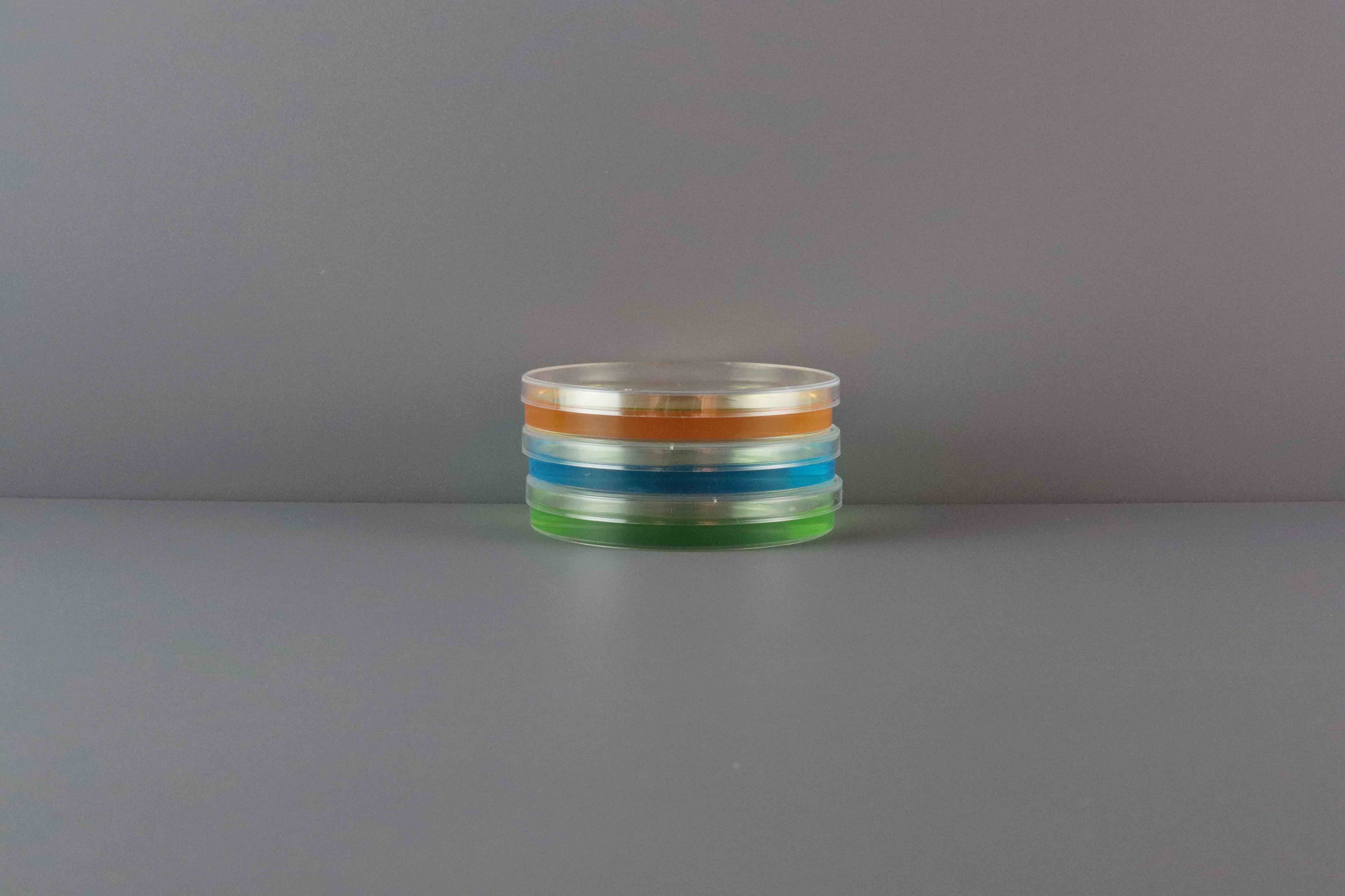Plastic Petri Dish
