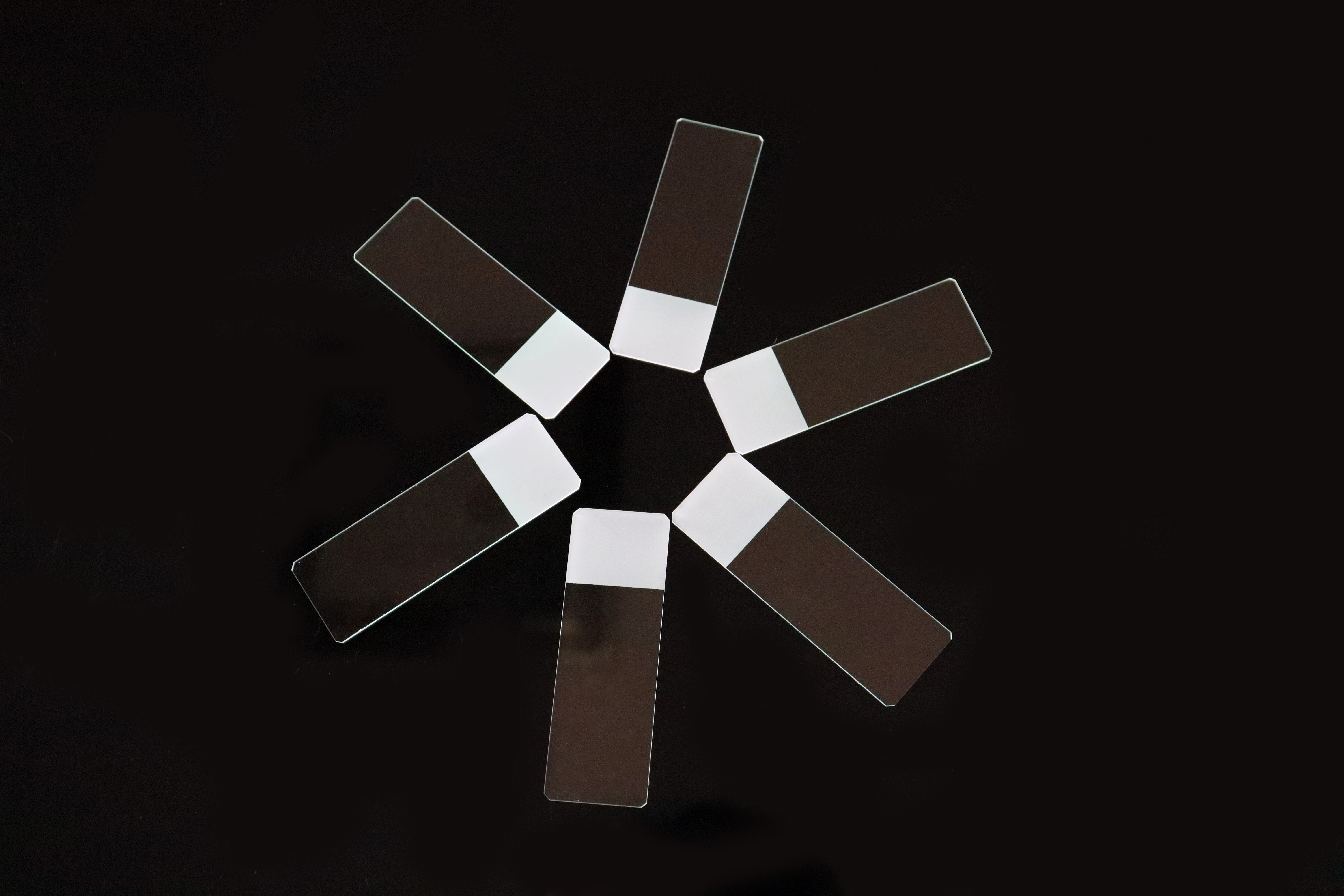 7105 Frosted Microscope Slides 