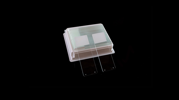 Adhesive Microscope Slides