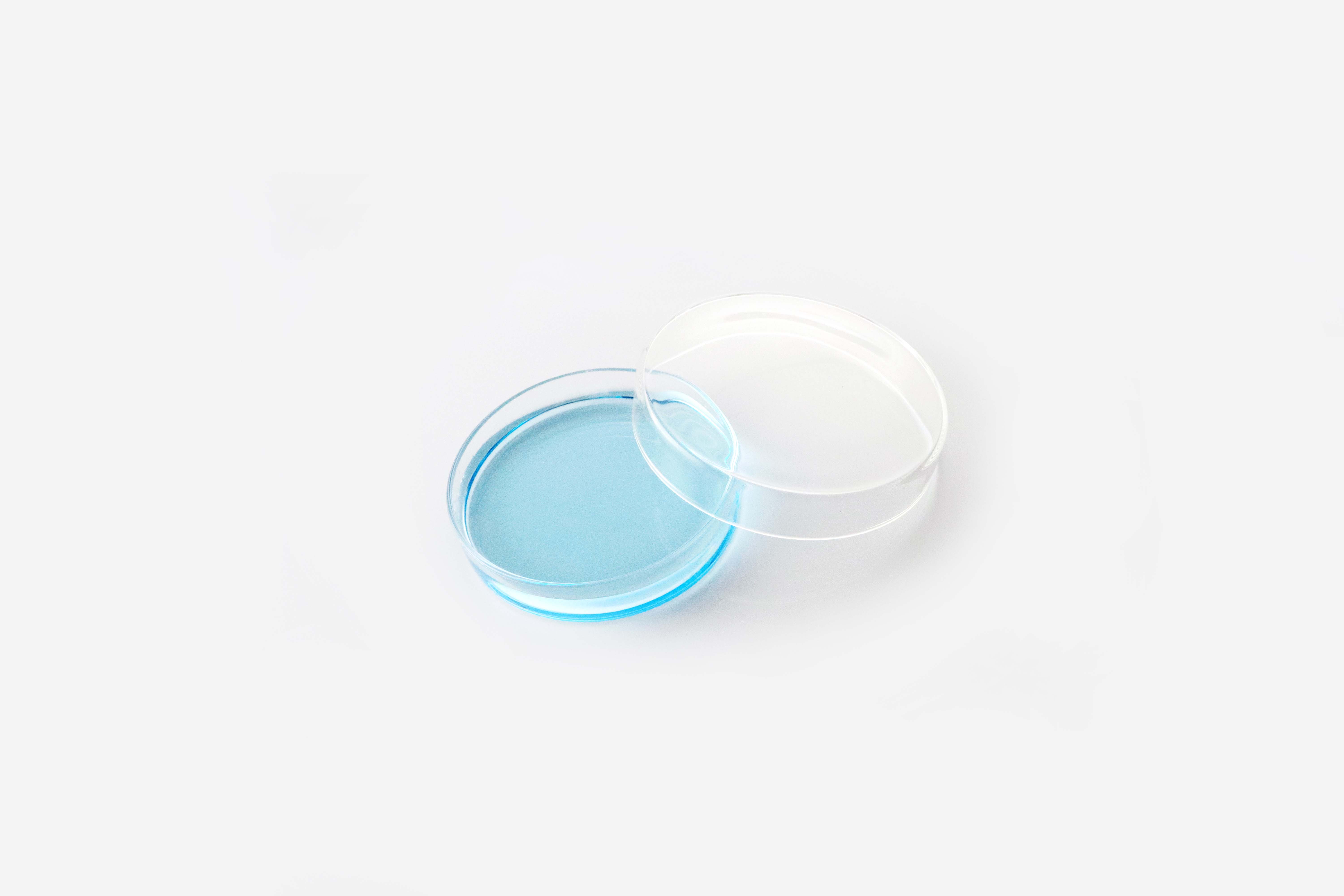 Glass Petri Dish